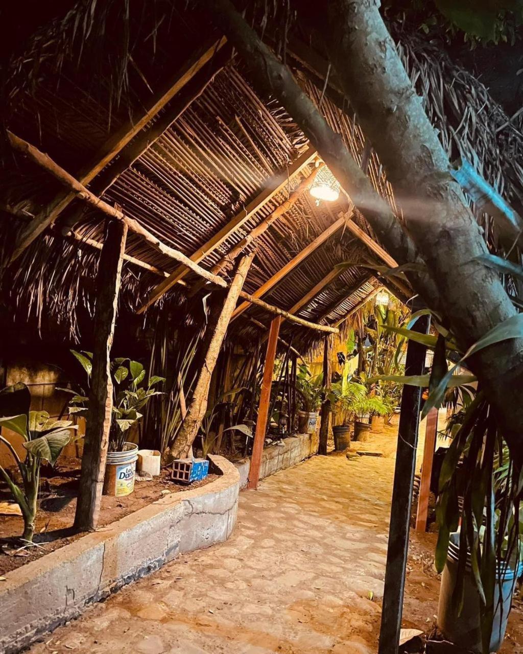 Hospedaje Ecologico Purma Wasi Tarapoto Ngoại thất bức ảnh