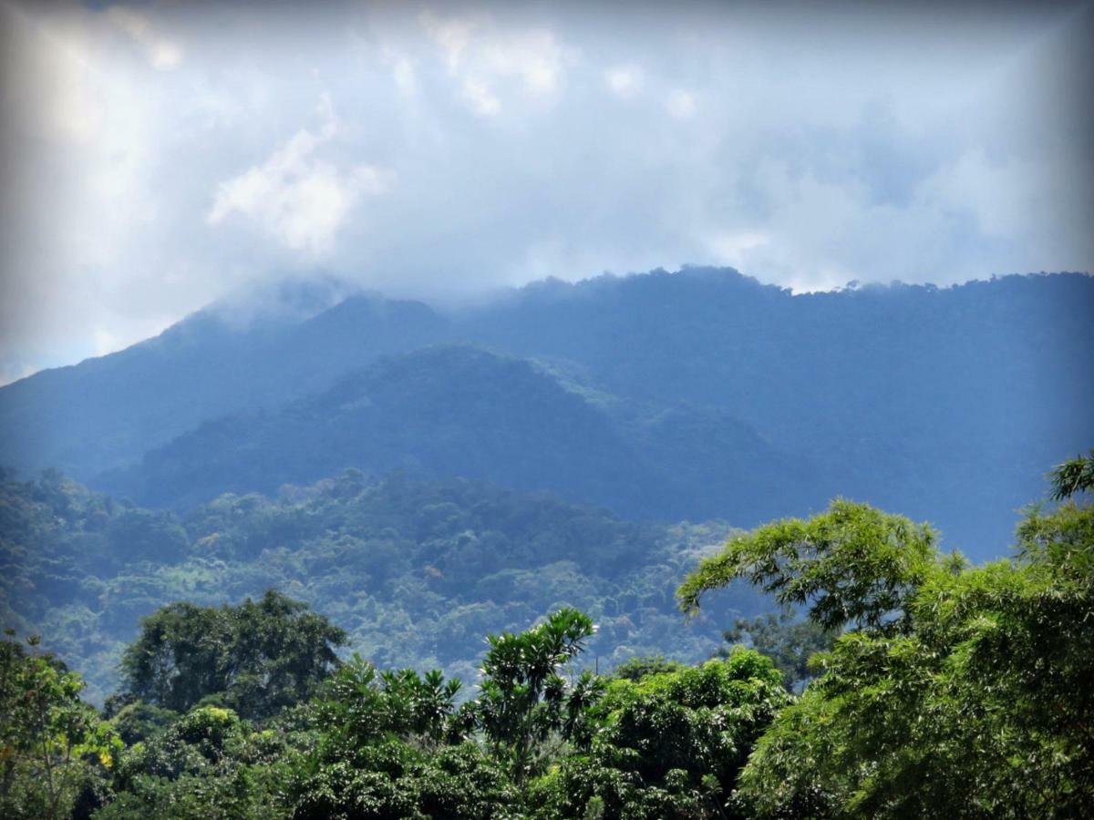 Hospedaje Ecologico Purma Wasi Tarapoto Ngoại thất bức ảnh